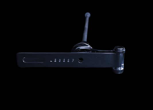 LeBeef, seat mount, chrome, custom, top, Loud House Customs